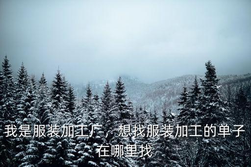 廣州加工廠做的網單在哪里買,在廣州想開個小型服裝加工廠