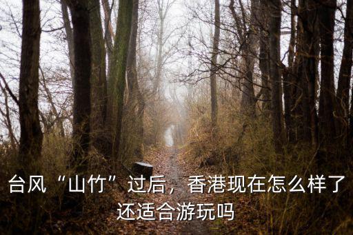 臺風(fēng)“山竹”過后，香港現(xiàn)在怎么樣了還適合游玩嗎