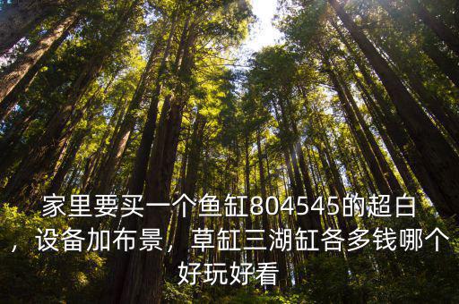 泰安魚缸造景多少錢,1.2米的底濾魚缸