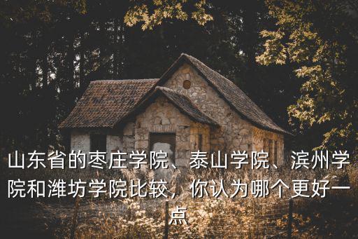 山東省的棗莊學院、泰山學院、濱州學院和濰坊學院比較，你認為哪個更好一點