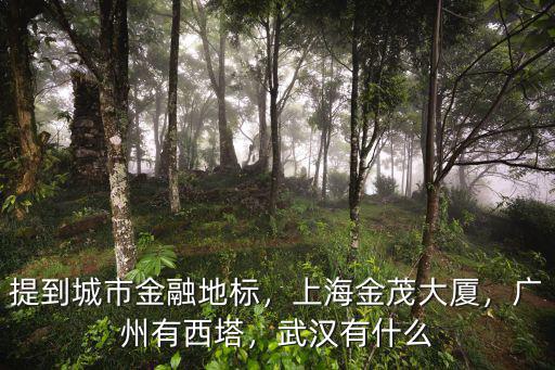 提到城市金融地標，上海金茂大廈，廣州有西塔，武漢有什么