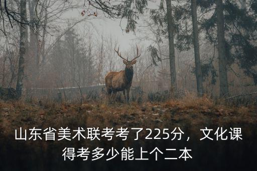 山東聯考220文化課多少,山東省美術聯考考了225分