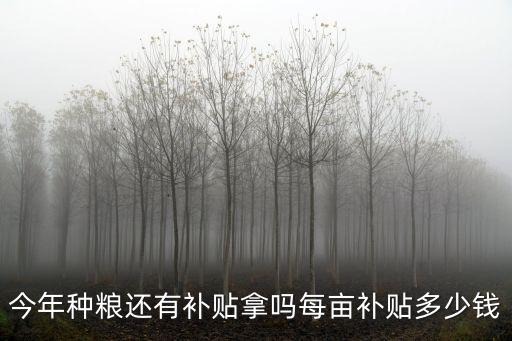 今年種糧還有補貼拿嗎每畝補貼多少錢