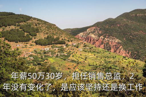 汕頭地區銷售總監工資多少,酒吧銷售總監工資一般多少
