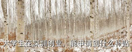 深圳南山創業補貼在哪里申請,大學生在深圳創業