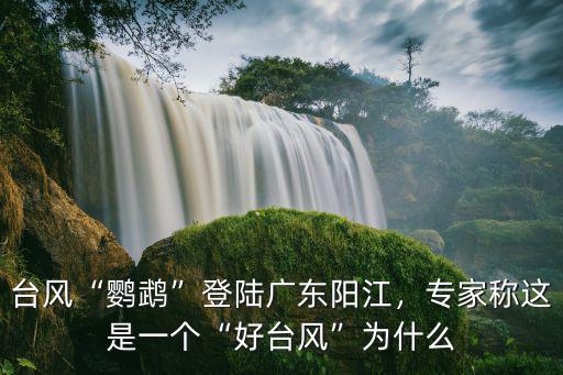 臺風“鸚鵡”登陸廣東陽江，專家稱這是一個“好臺風”為什么