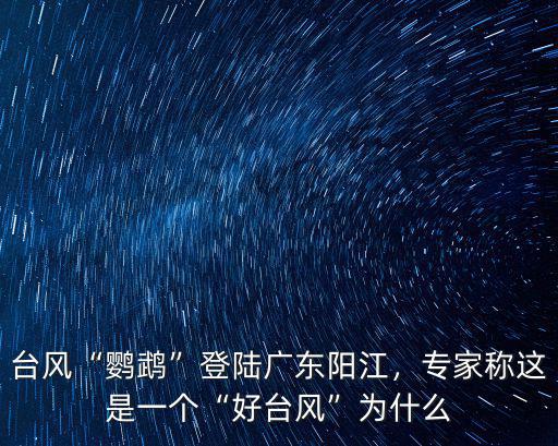 臺風“鸚鵡”登陸廣東陽江，專家稱這是一個“好臺風”為什么