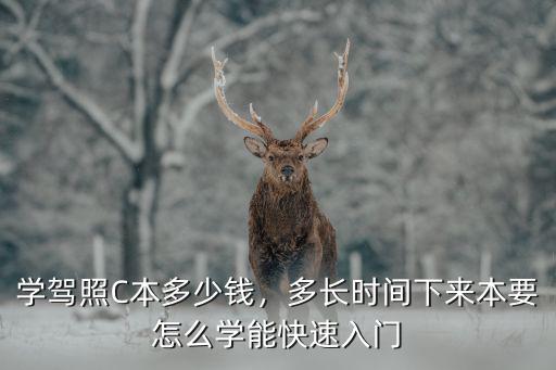 學駕照C本多少錢，多長時間下來本要怎么學能快速入門