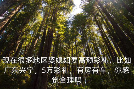 現在很多地區娶媳婦要高額彩禮，比如廣東興寧，5萬彩禮，有房有車，你感覺合理嗎