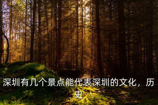 深圳歷史上最大的雨量是多少,歷史上最大的雨有多大