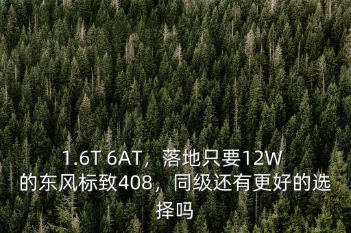 1.6T 6AT，落地只要12W 的東風標致408，同級還有更好的選擇嗎