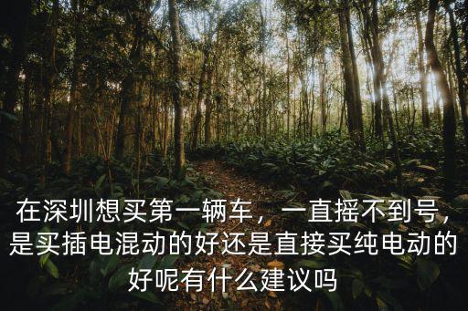 深圳哪里有純電動車買,想在深圳買一輛電動汽車