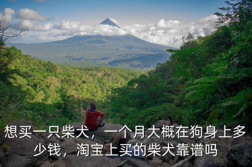 泰州柴犬幼犬價(jià)格多少錢(qián)一只,想買(mǎi)一只柴犬