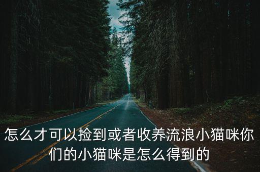 深圳哪里有收養流浪貓的機構,深圳哪里有流浪狗狗收養中心