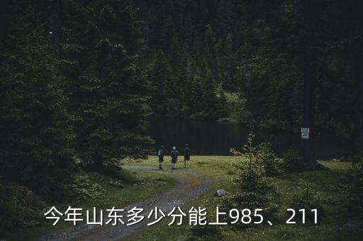 新疆考山東的分?jǐn)?shù)線是多少,我是山東臨沂人