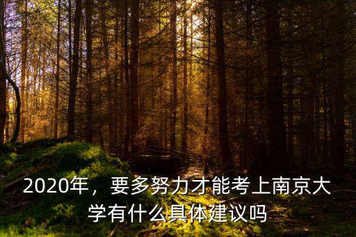 2020年，要多努力才能考上南京大學有什么具體建議嗎