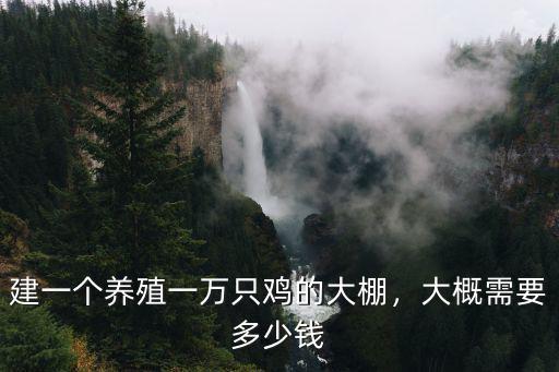 建一個養殖一萬只雞的大棚，大概需要多少錢