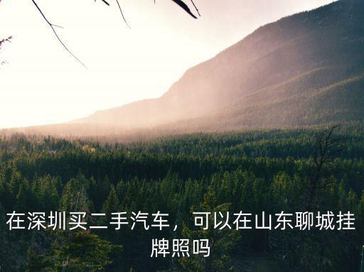 深圳在二手車上哪里牌照方便,在深圳買二手汽車