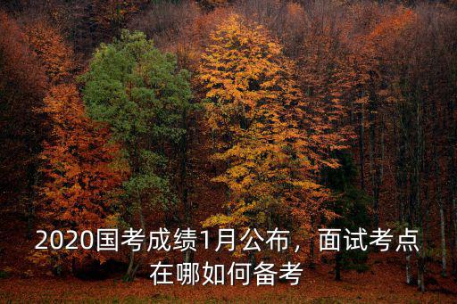 2020東莞國考考點(diǎn)有哪里,2020國考成績1月公布