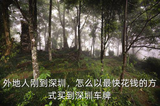 外地人剛到深圳，怎么以最快花錢的方式買到深圳車牌