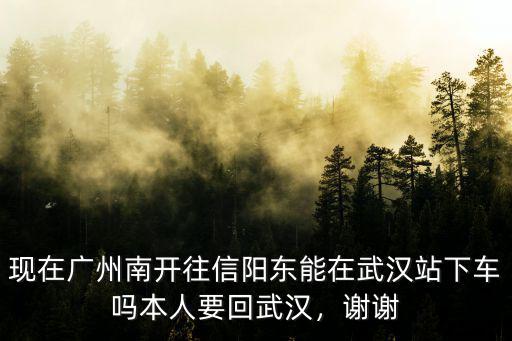 現(xiàn)在廣州南開往信陽(yáng)東能在武漢站下車嗎本人要回武漢，謝謝