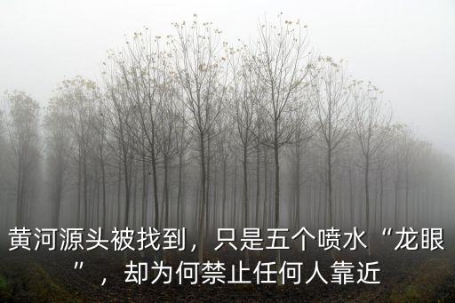 黃河源頭被找到，只是五個噴水“龍眼”，卻為何禁止任何人靠近