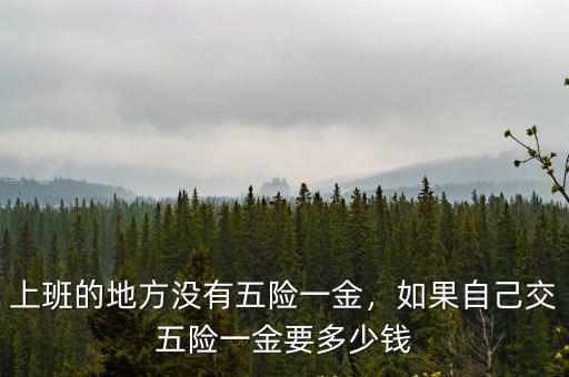 德州五險一金公司代繳多少,如果自己交五險一金要多少錢