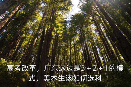 廣東新高考模式怎么考,在廣東新高考3 1 2模式