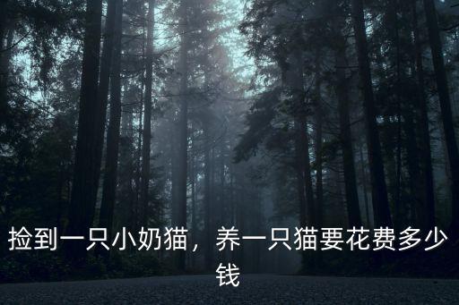 廣東小奶貓多少錢一只,養一只貓要花費多少錢