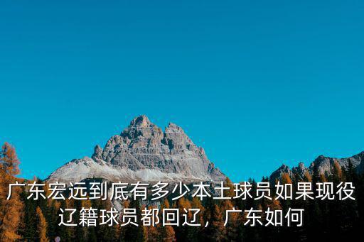 廣東宏遠到底有多少本土球員如果現(xiàn)役遼籍球員都回遼，廣東如何