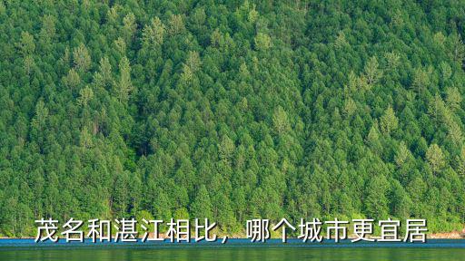 悟空問答湛江比茂名怎么樣,有人說茂名冬季比湛江還暖和