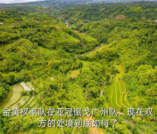 金英權率隊在亞冠倒戈廣州隊，現在雙方的處境到底如何了