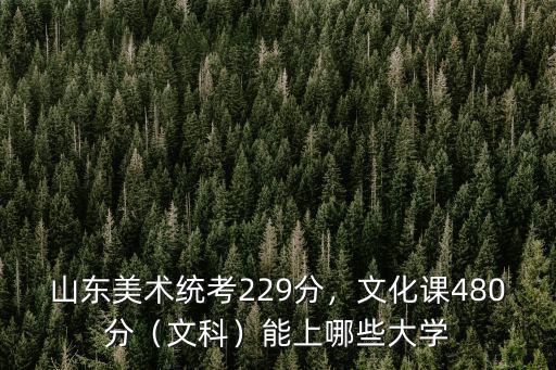 山東美術統(tǒng)考229分，文化課480分（文科）能上哪些大學