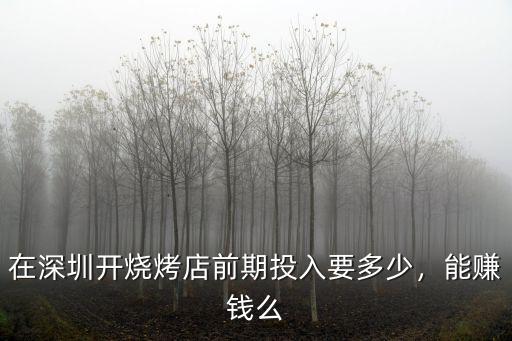 深圳燒烤店生意怎么樣,深圳哪里適合開燒烤店