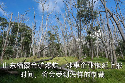山東棲霞金礦爆炸最新消息死了多少人,山東棲霞金礦發生爆炸