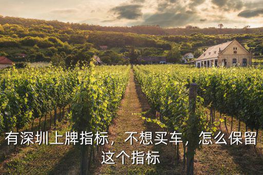 搖到深圳號(hào)牌指標(biāo)怎么出租,有深圳上牌指標(biāo)