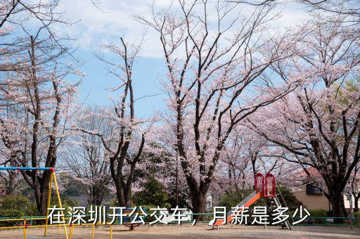 在深圳開車司機多少一個月,在深圳開公交車