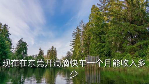 現(xiàn)在在東莞開(kāi)滴滴快車一個(gè)月能收入多少