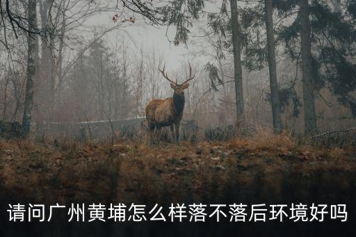 廣州峰靈怎么樣,請問廣州黃埔怎么樣