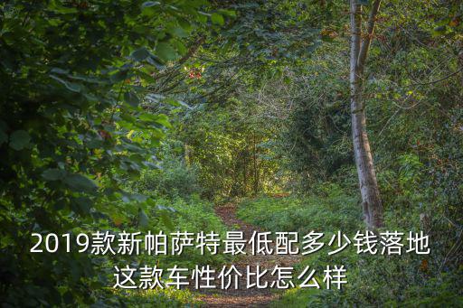 2019款新帕薩特最低配多少錢落地這款車性價比怎么樣