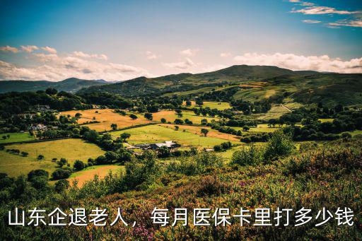山東企退老人，每月醫保卡里打多少錢