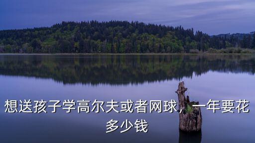 想送孩子學高爾夫或者網(wǎng)球，一年要花多少錢