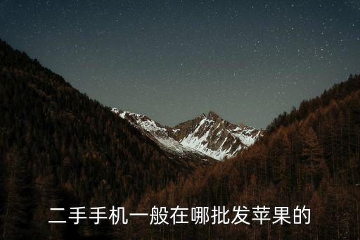 二手手機一般在哪批發蘋果的