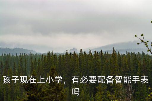 深圳市泰達威智能手表怎么樣,達沃奇智能手表怎樣