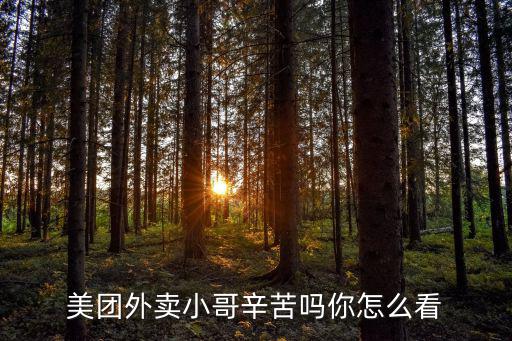 美團外賣小哥辛苦嗎你怎么看