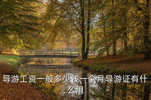 蘇州導游一個月能賺多少,都說導游收入高還能到處玩