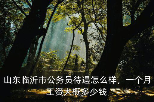 山東國考報名要多少錢,公務員報名繳費需要多少錢