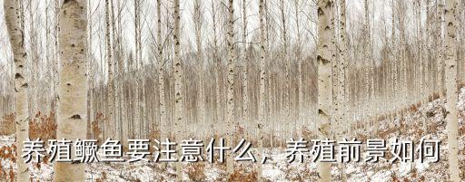 套養(yǎng)廣東雜交鱖魚(yú)怎么養(yǎng)殖,野生桂花魚(yú)怎么養(yǎng)殖