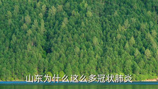 山東為什么這么多冠狀肺炎