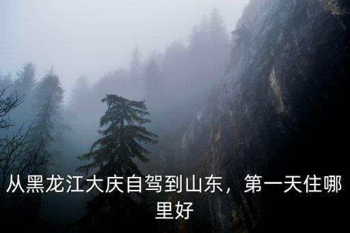 大慶到山東有多少公里,從大慶去山東大概20天